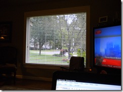my morning view 001