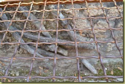 Water Lead Pipes 2