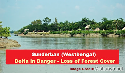 Delta in Danger - Loss of Forest Cover in Sunderban