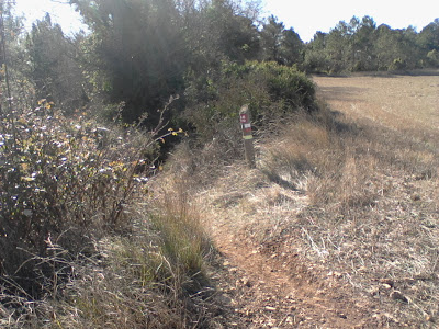 CASTELL DE PINYANA - QUEROL - ERMITA DE SANT JAUME DE MONTAGUT,