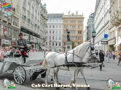 The best tourist places in Vienna
