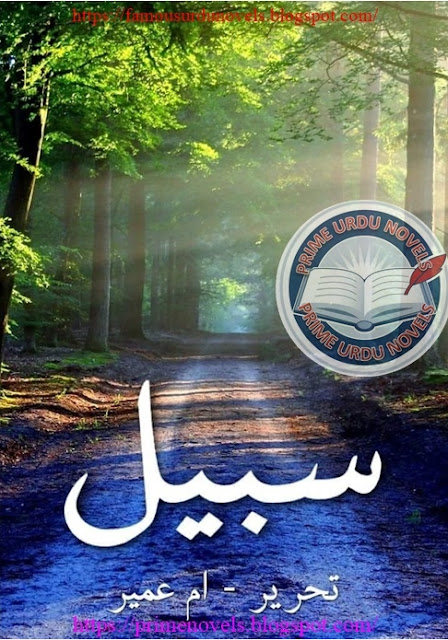 Sabeel novel online reading by Umm Umayr Complete