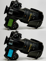 Spec of the Nikon D800