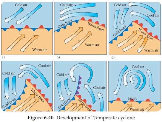 temperate cyclone