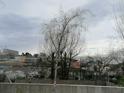 O inverno na Cidade de Guimarães