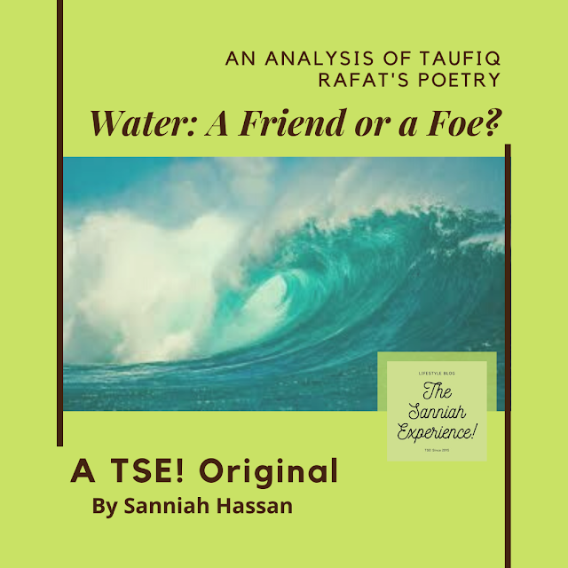 'Water: A Friend or A Foe?' | The Sanniah Experience! (TSE)