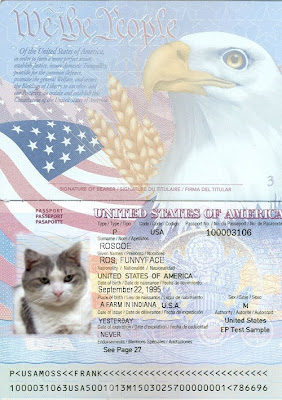 american passport manner