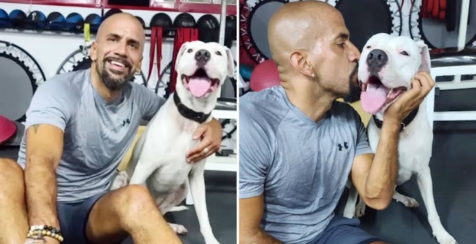 El perro abandonado en Merlo que adoptó Juan Sebastián "La Brujita" Verón