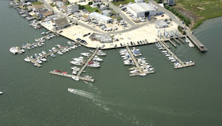 Avalon marine center