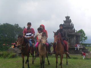 horse riding,mountain resort,temple