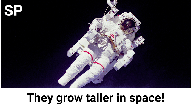 Did You Know Astronauts Can Grow Taller in Space?