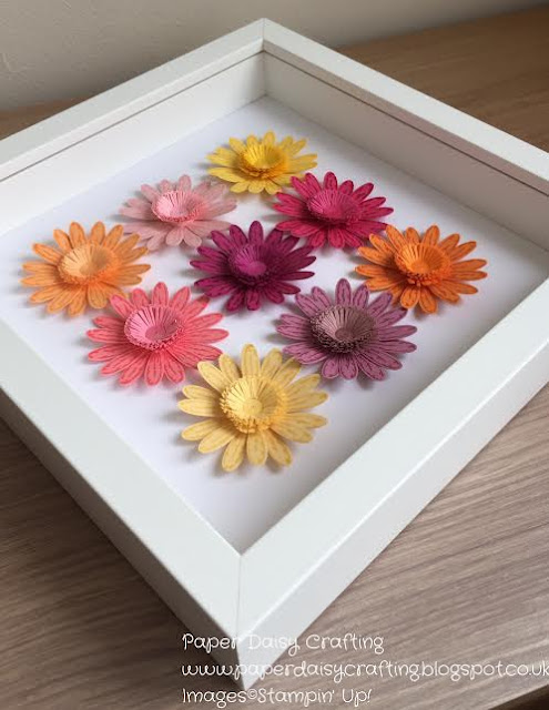 Daisy delight from Stampin Up with quilled flower centres