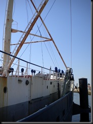 DSCN0812