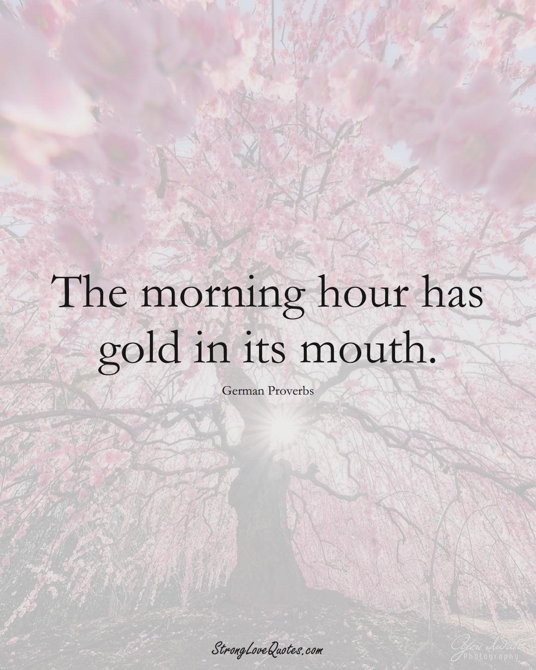 The morning hour has gold in its mouth. (German Sayings);  #EuropeanSayings