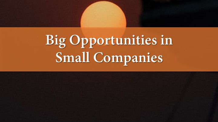 Big Opportunities in Small Companies
