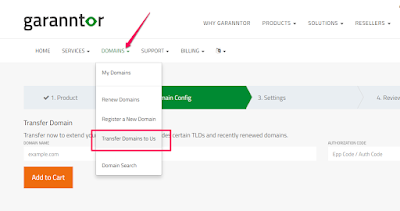 garanntor domain transfer page