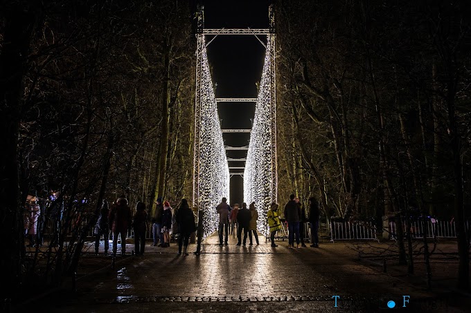 Świąteczna iluminacja w Parku Oliwskim