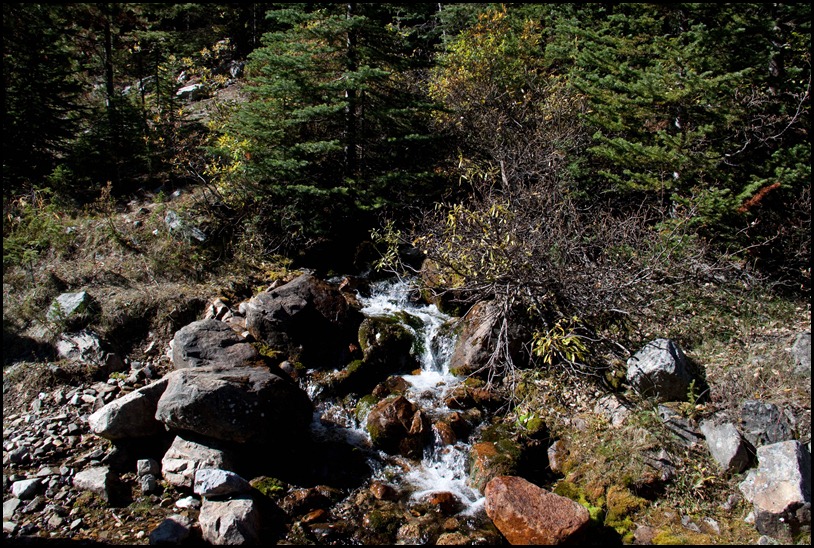 Small Cascade near Moraine Lake