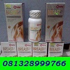 http://obat99.blogspot.com/2012/08/pil-payudara.html