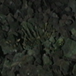 View album