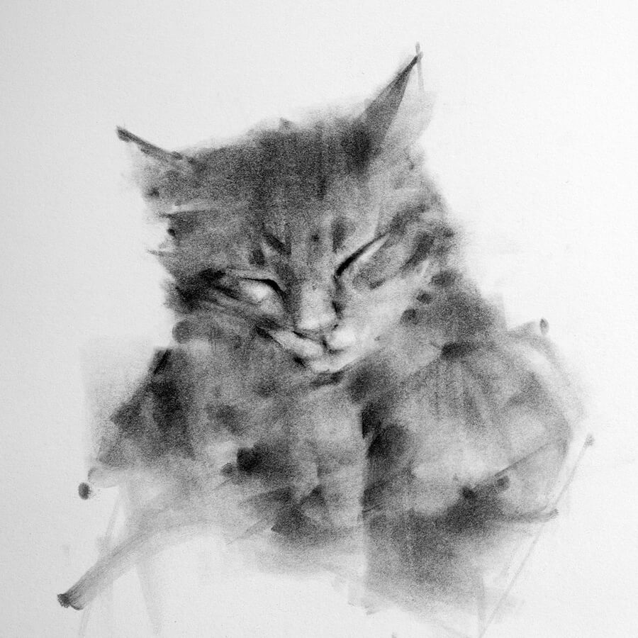 02-Sleeping-cat-Charcoal-Drawings-Tianyin-Wang-www-designstack-co