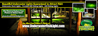 https://www.underwaterfishlight.com/