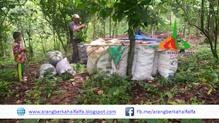 Penjual Arang Berkah alfalfa Batok dan Kayu