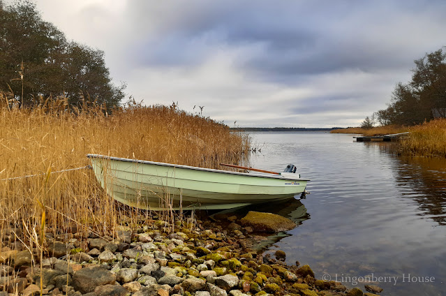 lingonberryhouse, autumn, syksy, kuulas, clear, nature, luonto