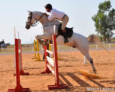 Guega foca preparação nos Jogos Equestres Mundiais