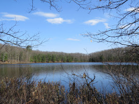 McCarthy Lake