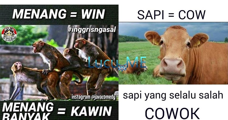 30 Meme "Inggris Ngasal" Dijamin Bikin Ketawa Sampai 