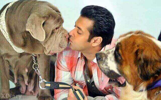 salman-khan-pet-myson-myjaan-xdiary