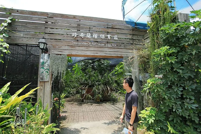 蘭科植物園|珍奇蘭種保育區｜台南山上景點