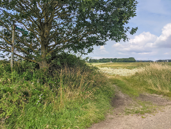 Kings Walden footpath 9 heading WSW