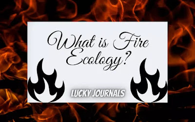 What is Fire Ecology?