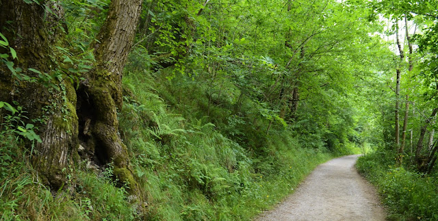 Olla de San Vicente, Asturias