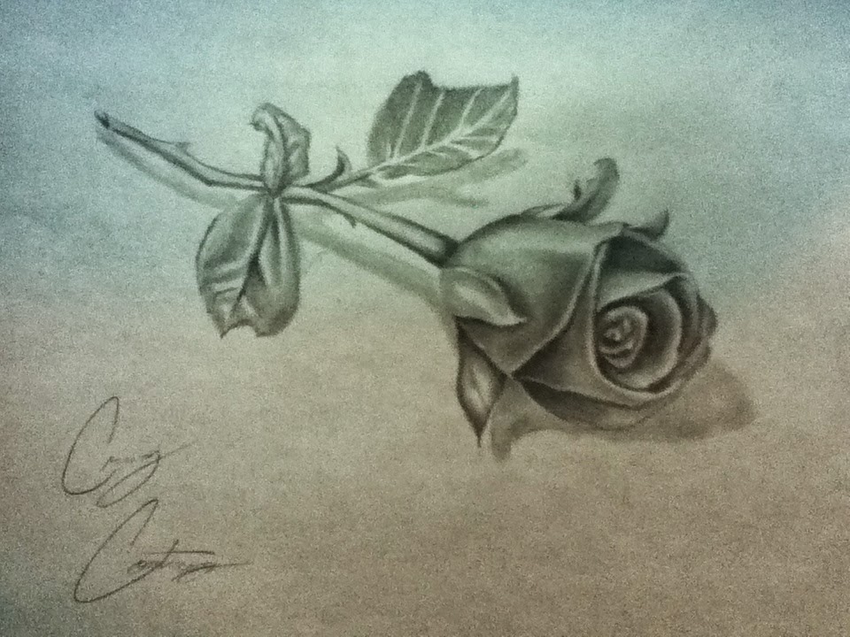 Rose Drawing