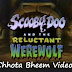 Scooby Doo And The Reluctant Werewolf In Hindi