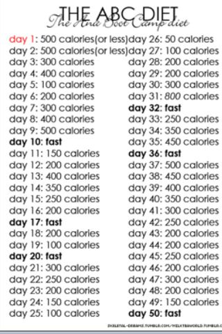 6 Week diet plan