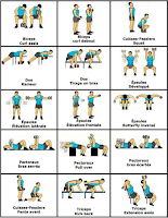 Gym workout chart