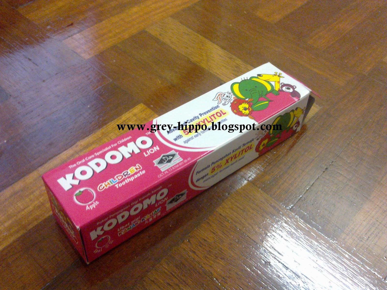 ~ Memori Hidupku ~: Kodomo Lion