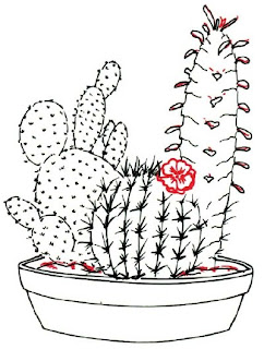 How to Draw a Cactus in 7 Steps