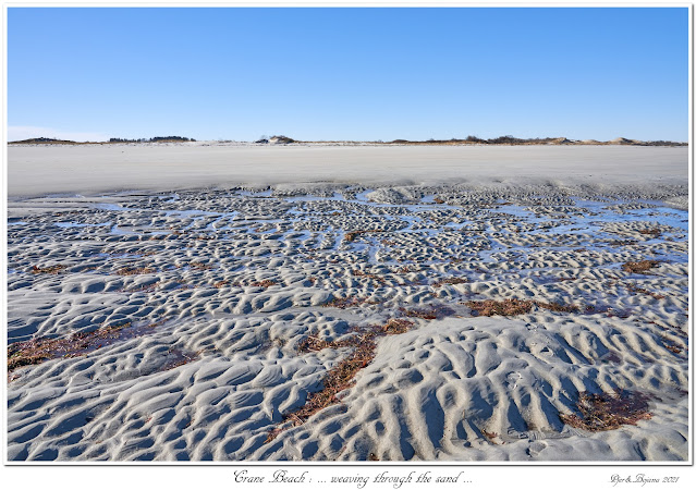 Crane Beach: ... weaving through the sand...