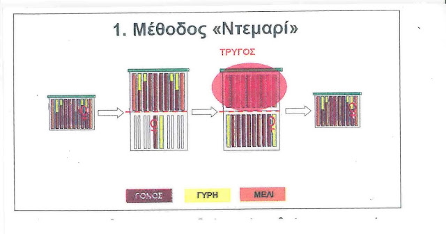 Πρόληψη σμηνουργίας: μέθοδος ΝΤΕΜΑΡΙ (Demaree)