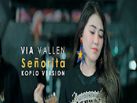 Download Lagu Via Vallen Senorita