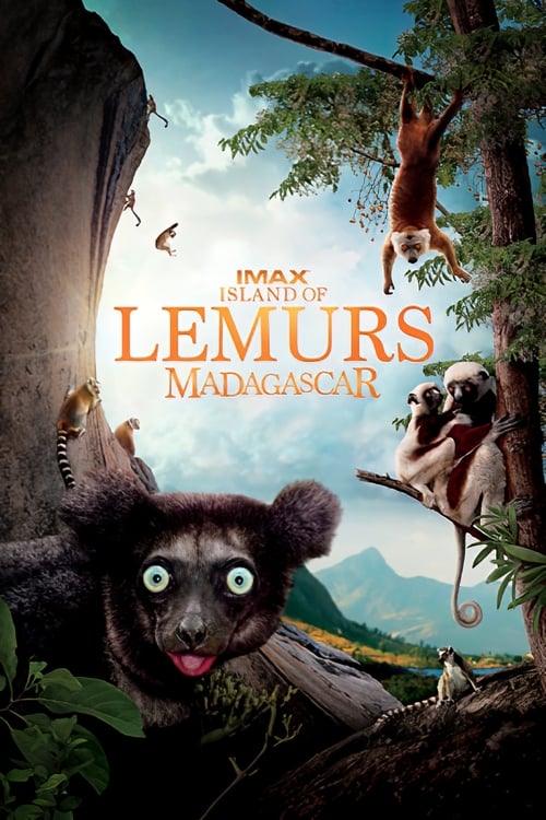 Madagascar: L'isola dei Lemuri 2014 Download ITA