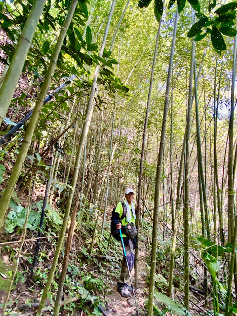 玉女山下山途中