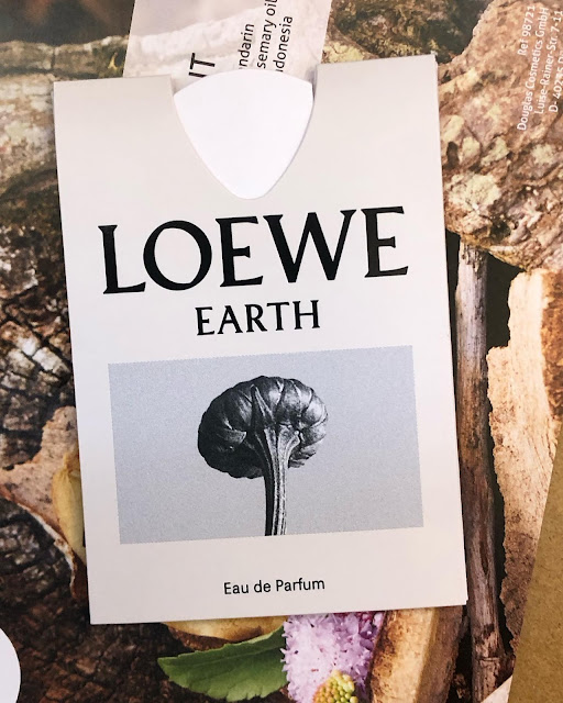 Loewe-Earth