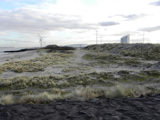 Maasvlakte