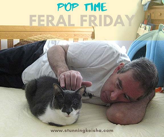 Feral Friday: Pop Time